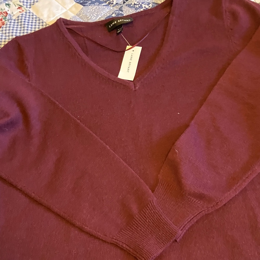 Lane Bryant Deep Burgundy V-Neck Sweater